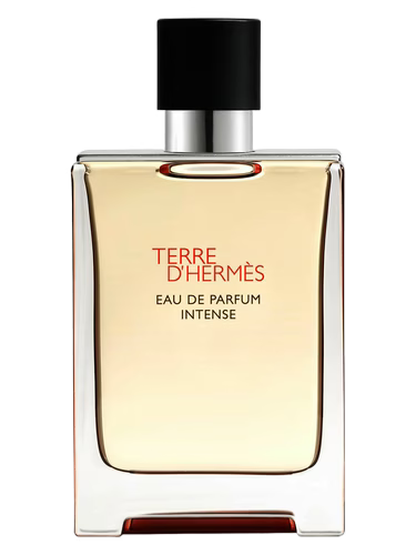 HERMES TERRE D'HERMÈS EDP INTENSE 100 ML