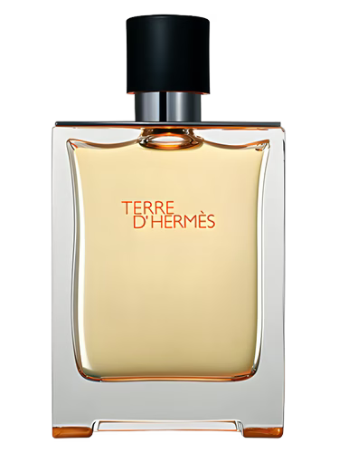 HERMES TERRE D' HERMÈS EDT 100 ML