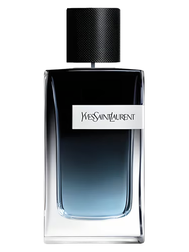 YVES SAINT LAURENT Y EDP 100 ML